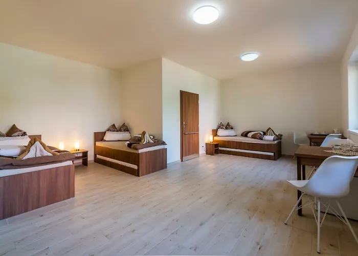 招待所 Piranha 3*